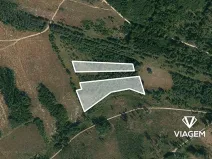 Prodej lesa, Dačice, 13651 m2