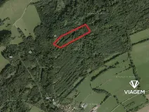 Prodej podílu lesa, Nový Jičín, 3706 m2