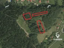 Prodej lesa, Mikulůvka, 3813 m2