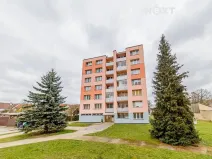 Prodej bytu 3+1, Nová Včelnice, Na Hliněnce, 74 m2
