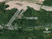 Prodej lesa, Horní Lhota, 11423 m2