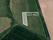 Prodej podílu pole, Boršice, 262 m2