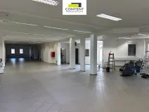 Pronájem obchodního prostoru, Nupaky, Komerční, 290 m2