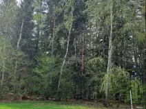 Prodej lesa, Člunek, 8445 m2