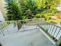 Pronájem kanceláře, Brno, Cihlářská, 38 m2