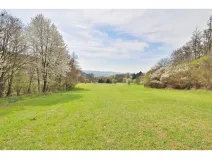 Prodej zahrady, Všechovice, 4180 m2