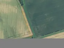 Prodej pole, Ostrovánky, 1633 m2