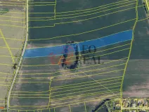 Prodej pole, Bohuslavice, 116905 m2