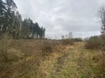 Prodej lesa, Blížejov - Lštění, 7793 m2