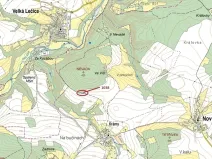 Dražba lesa, Nové Dvory, 953 m2