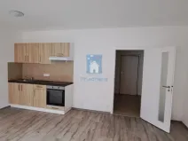 Pronájem bytu 1+kk, Plzeň, Rejskova, 38 m2