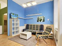 Pronájem bytu 1+kk, Opava - Město, Nákladní, 32 m2