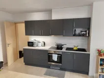 Pronájem bytu 2+kk, Olomouc, Eduarda Hamburgera, 51 m2