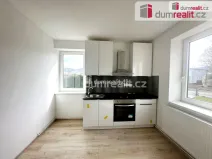 Pronájem bytu 1+1, Děčín - Děčín XII-Vilsnice, Vilsnická, 48 m2