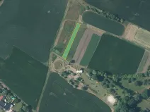 Prodej louky, Děčany, 2924 m2