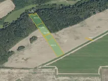 Prodej lesa, Vyšehořovice, 19741 m2