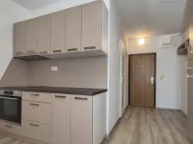 Pronájem bytu 1+1, České Budějovice - České Budějovice 2, 31 m2