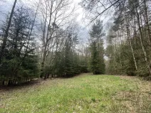 Prodej pozemku, Volfířov - Brandlín, 5958 m2