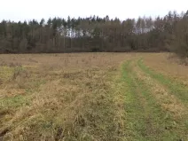 Prodej pole, Srby, 7890 m2