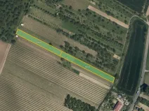Prodej sadu/vinice, Svatobořice-Mistřín, 5062 m2