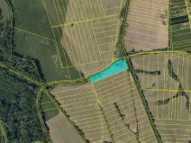 Dražba louky, Chropyně, 11841 m2