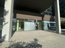 Pronájem obchodního prostoru, Brno, Holandská, 120 m2