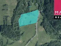 Prodej louky, Stráž nad Ohří, 63385 m2