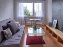 Pronájem bytu 2+kk, Praha, Nechvílova, 54 m2