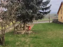 Prodej pozemku pro bydlení, Viničné Šumice, 2431 m2