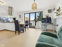 Pronájem bytu 3+kk, Brno, Veveří, 68 m2