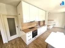 Pronájem bytu 1+kk, Plzeň - Východní Předměstí, Strnadova, 54 m2