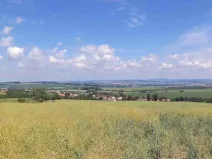 Dražba louky, Slavkov, 8978 m2