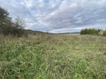 Prodej pozemku, Javorník - Horní Hoštice, 1651 m2