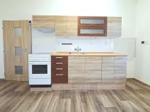 Pronájem bytu 2+kk, České Budějovice - České Budějovice 3, Pekárenská, 51 m2