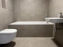 Pronájem bytu 2+kk, Ostrava, U Hájenky, 56 m2