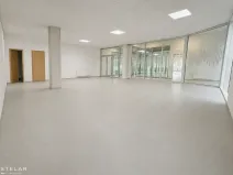 Pronájem obchodního prostoru, Hlučín, Cihelní, 113 m2