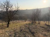 Prodej chaty, Litoměřice - Pokratice, U Medulánky, 1427 m2