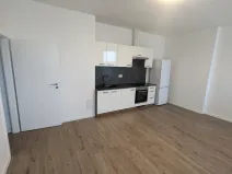 Pronájem apartmánu, Most, Františka Halase, 68 m2