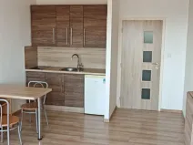 Pronájem bytu 1+kk, Ostrava - Moravská Ostrava, Lechowiczova, 30 m2