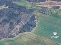 Prodej lesa, Chudčice, 2989 m2