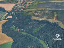 Prodej lesa, Jindřichov, 1945 m2