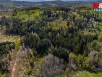Prodej lesa, Železný Brod, 11203 m2
