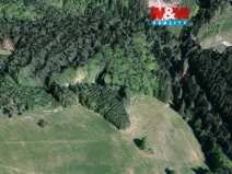 Prodej lesa, Valašská Senice, 8743 m2