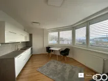 Pronájem bytu 1+kk, Mladá Boleslav, Laurinova, 28 m2