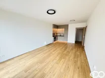 Pronájem bytu 2+kk, Brandýs nad Labem-Stará Boleslav, Dřevčická, 55 m2