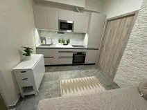 Pronájem bytu 2+kk, Praha - Nové Město, Sokolská, 33 m2