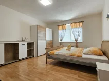 Pronájem bytu 1+1, Sebranice, 30 m2