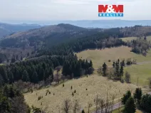 Prodej lesa, Měděnec - Mýtinka, 18821 m2