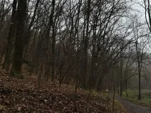 Prodej podílu lesa, Praha, 4596 m2