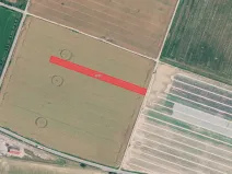 Prodej pole, Troubky, 3990 m2